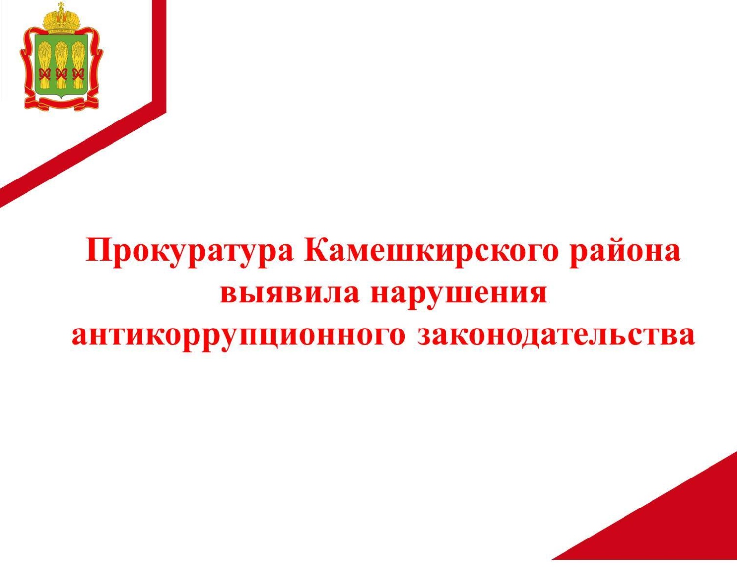 Прокуратура Камешкирского района выявила нарушения антикоррупционного законодательства 