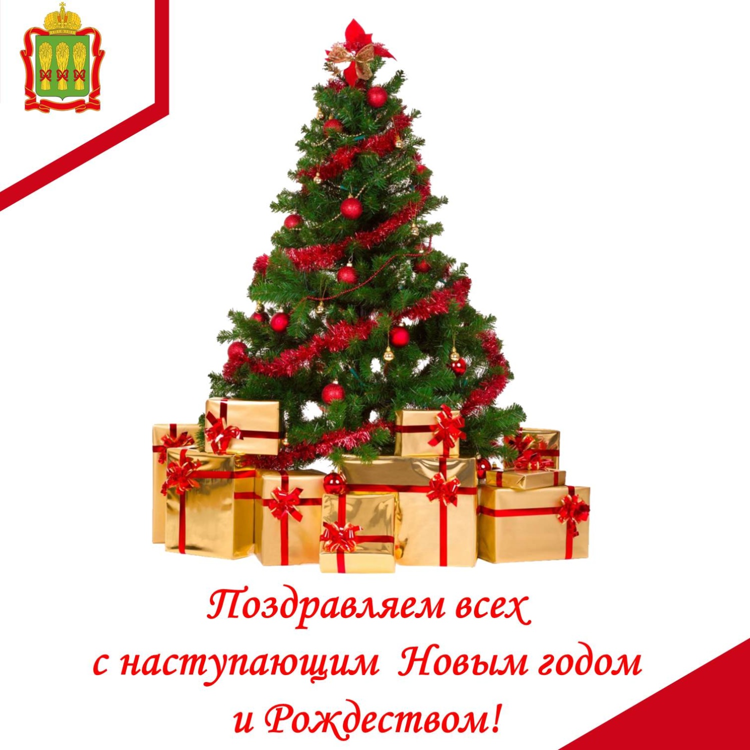 Поздравляем всех с наступающим Новым годом и Рождеством! Поздравляем всех с наступающим Новым годом и Рождеством!