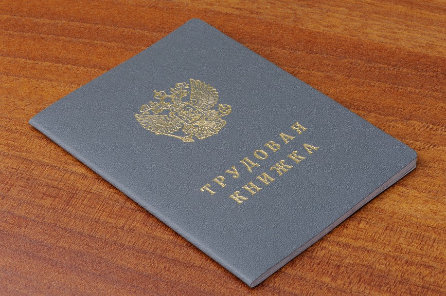За представление недостоверных сведений об участии в коммерческой организации уволен руководитель государственного учреждения