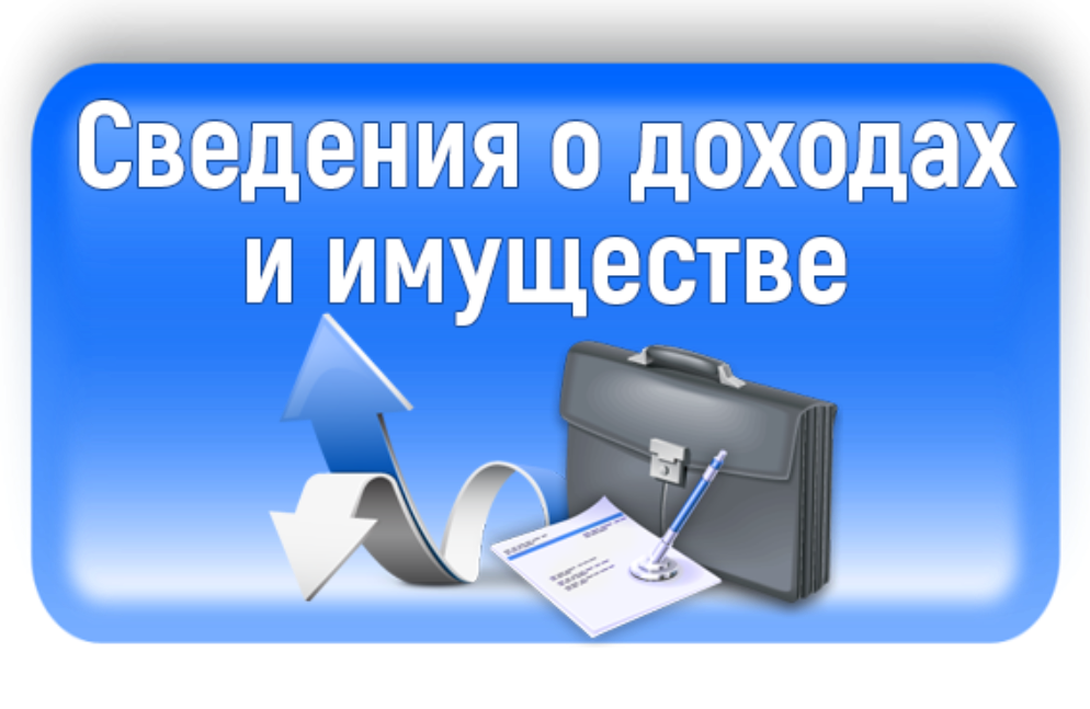 Обновление версии специального программного обеспечения «Справки БК»