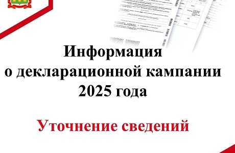 О декларационной кампании 2025 года. Уточнение сведений О декларационной кампании 2025 года. Уточнение сведений